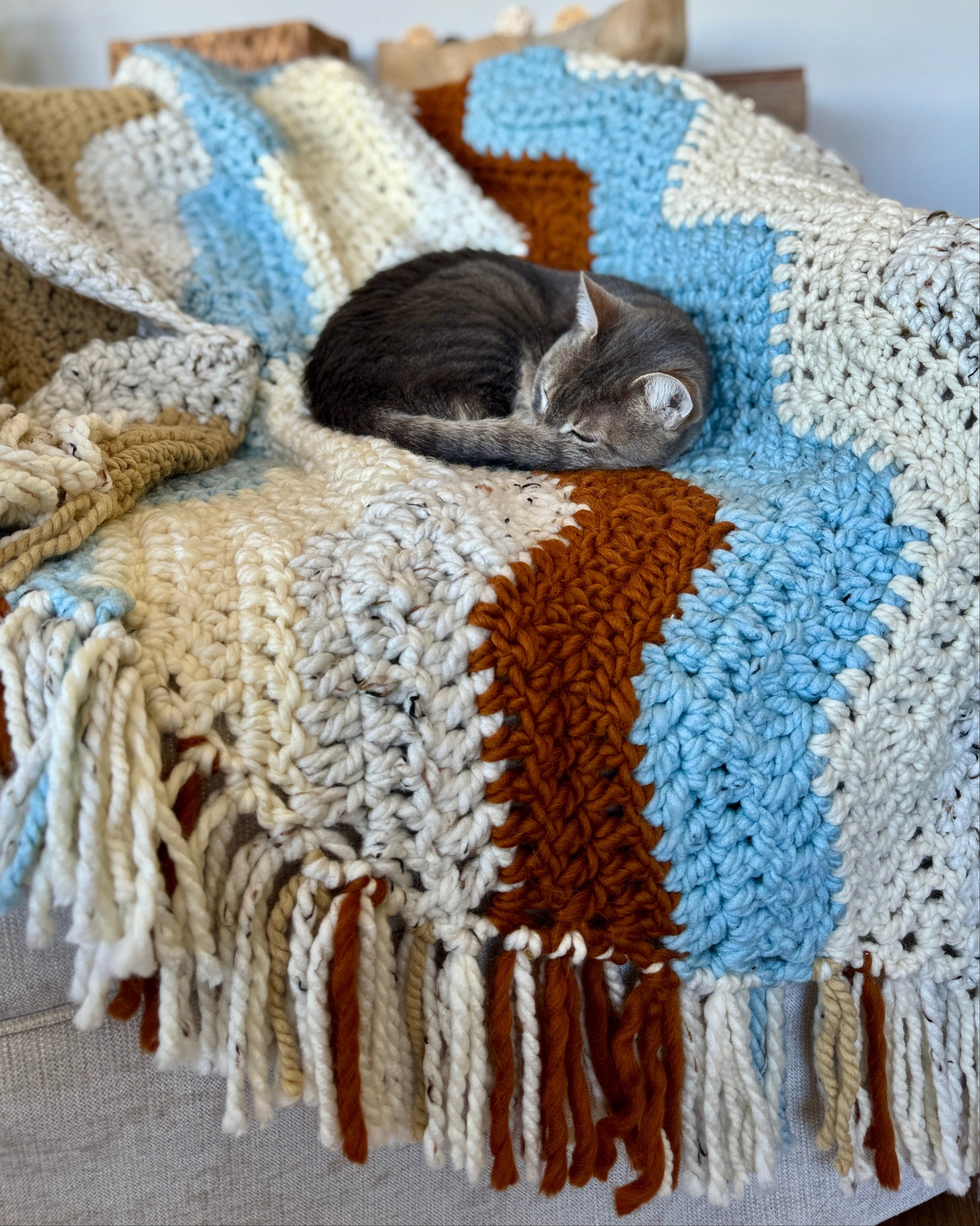 Cat sleeping on a crocheted blanket with fringes in a cozy living room.